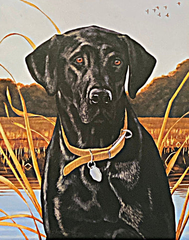 Hamrick, Field Companion-Black Lab S/N (12x15)