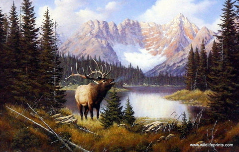 Derk Hansen Call Of The Wild - 12"x 8" Open Edition