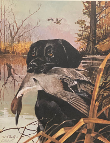 R. J. McDonald Hunting Dog Print Black Labrador S/N with Cert Black Labrador (16.5"x21")