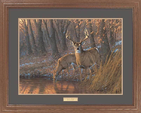 Quiet Approach by Michael Sieve Deer Hunting Buck Print Framed