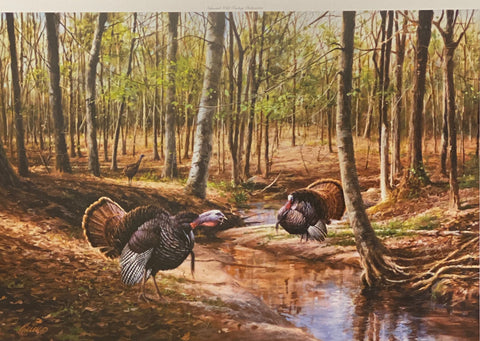 Jim Killen Limited Edition Art Print Challenge at Turkey Creek A/P (24x16.5)