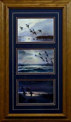 Black Duck  Trilogy By Les Kouba Framed  14" x 24"