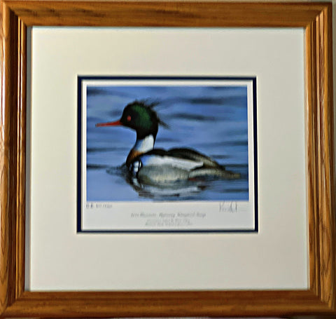 Kevin Nelson 2011 Migratory Waterfowl Art Print-Framed 18.5 x 17.5-Free Shipping
