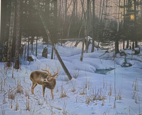 Brian Kuether Limited Edition Whitetail Deer Art Print One Last Glance (20x16)