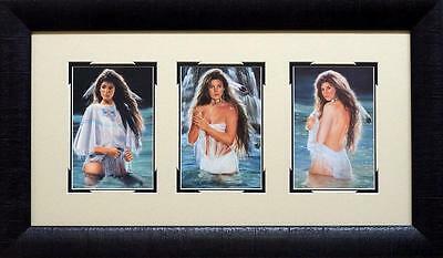 Maija River of Dreams Native American Framed Trilogy  24 x 14