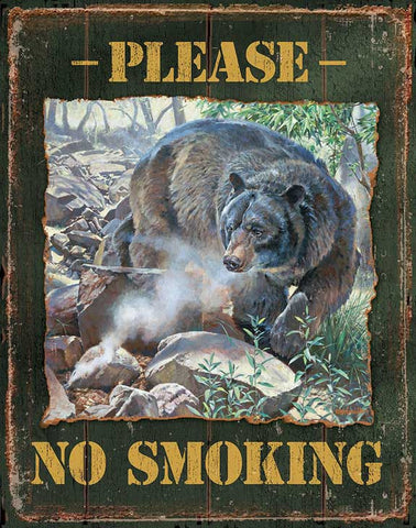 Please No Smoking Tin Sign