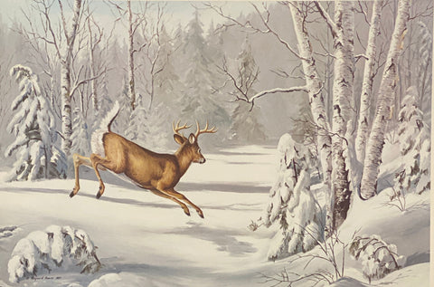 Maynard Reece Signed/Numbered Art Print New Snow-Whitetail Deer with cert (24"x16")