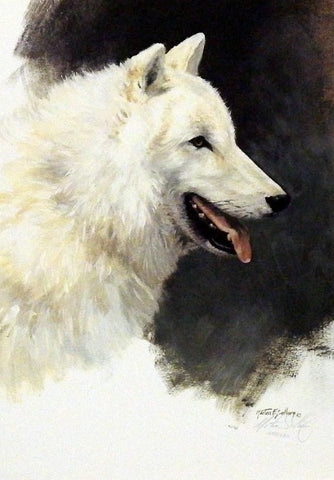 Morton Solberg White Wolf Study