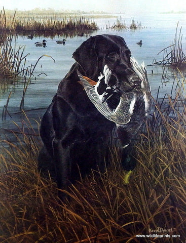 Kevin Daniel A Friend in the Marsh - 12" x 16" Open Edition