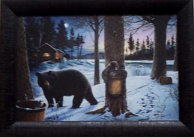 Ervin Molnar Midnight Snack Bear Print Framed  21 x 15