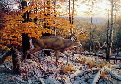 On the Trail Deer Buck Art Print By Greg Alexander  Image 10"  X 7 "