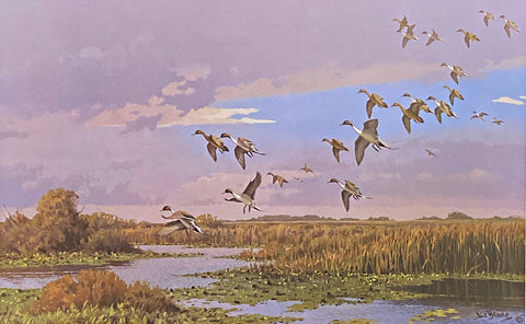 Lee LeBlanc Signed/Numbered Pintail Duck Art Print A Lacassine Memory (25"x16")