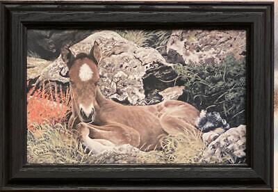 Ray Whitson Horse Art Print Born Free-Framed 14.5 x 10