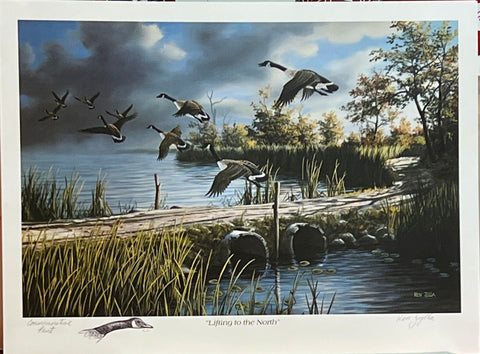 Ken Zylla Lifting to the North Canadian Goose Print-17.75 x 13