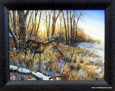 Jim Hansel ''Passing the Buck'' Deer  Framed Studio Canvas  Print  19'' x 15''