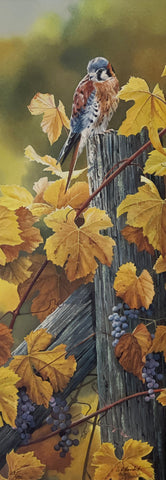 Susan Bourdet Harvest Gold-Kestrel Bird Art Print- 8.5 x 24-