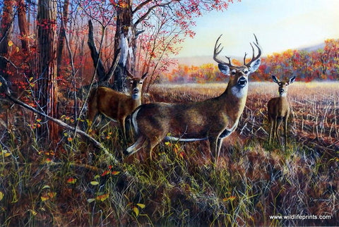 Jim Hansel The Gathering - 28"x 19" Signed & Numbered
