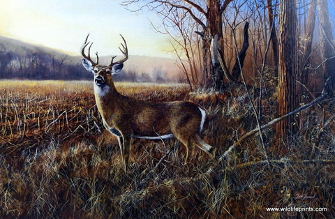 Jim Hansel Bluff Country Buck - 29"x 19" Signed/Numbered