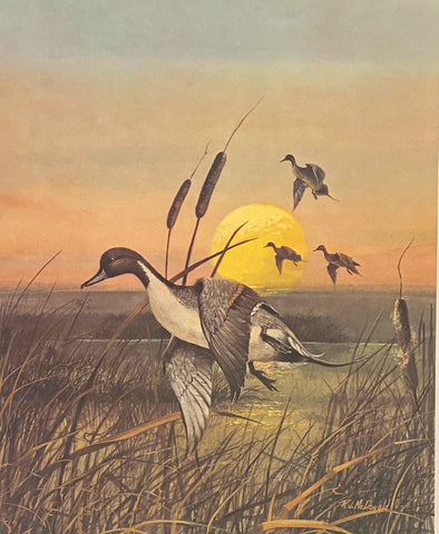 R.J. McDonald Prairie Pintails S/N Art Print 16 x 19.5