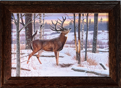 Cynthie Fisher The Jordan Buck Decorator art Print Framed 14.5 x 10.5