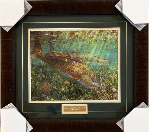 Mark Susinno Searching the Shallows Red Drum Art Print-Framed 20x18