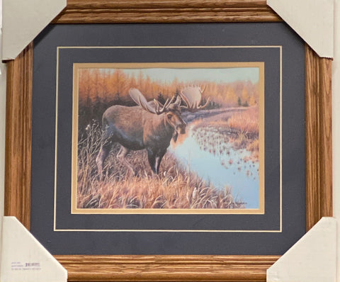 Jim Kasper Tamarack Moose Art Print-Framed 19 x 16.5 Free Shipping!!