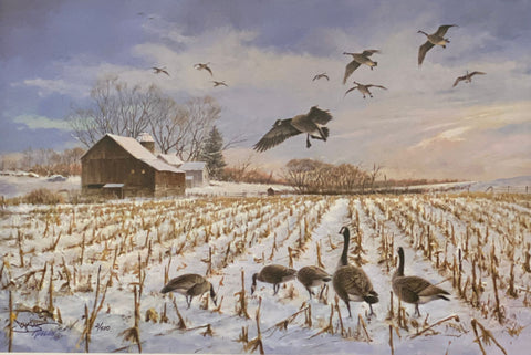 Jim Killen The Gathering-Canada Geese S/N Art Print(24x16)