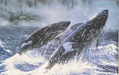 Ra6 Whitson, Whales Art Print (12X8) Free Shipping