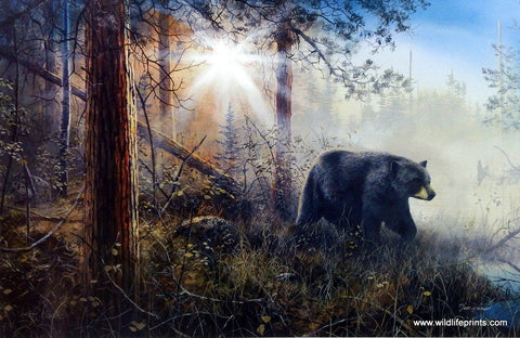 Jim Hansel Shadow In The Mist - 29"x 19" Signed/Numbered