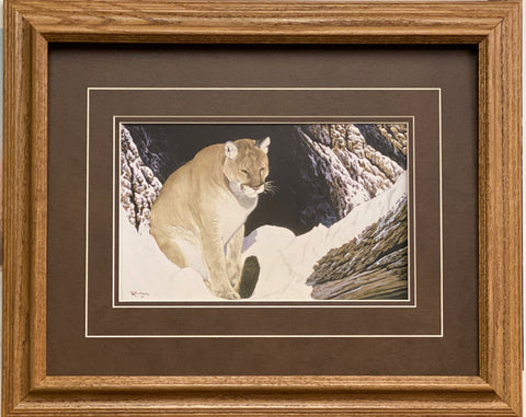 Ray Whitson Framed Cougar Art Print  (21"x17")