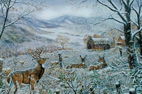 Ray Mertes First Snow Deer Print 29 x 19 Signed