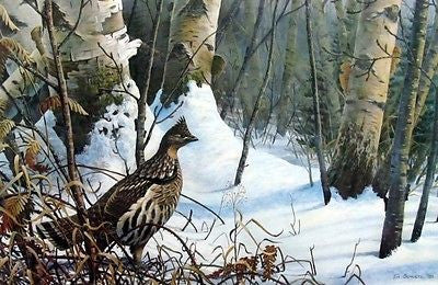 TIm Schultz Winter Morning Ruffed Grouse