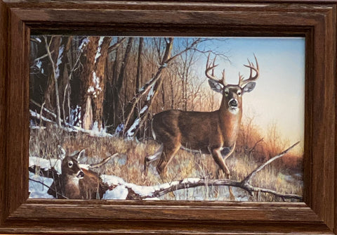 Jim Hansel "Resting Place" Deer Buck Decorator Print-Framed 14.5" x 10"