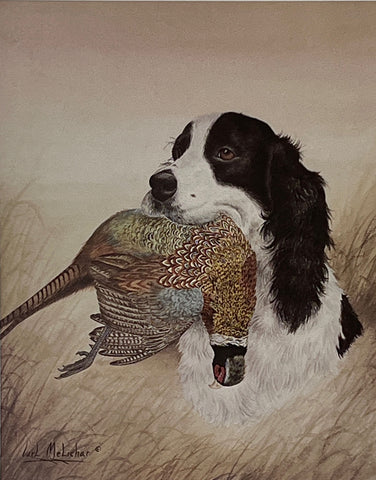 Carl Melichar Springer Spaniel With Pheasant S/N Art Print 12 x 15