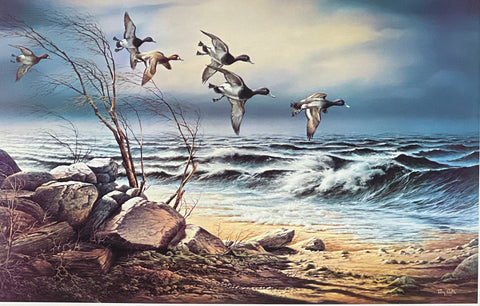 Terry Redlin Bluebill Point 1983 DU Duck Art Print