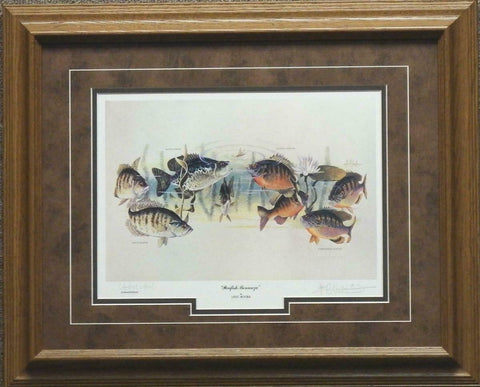 Les Kouba "Panfish Bonanza" Fishing Print Signed Artist Proof-Framed 21" x 17"
