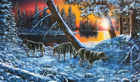 Jim Hansel On the Prowl Wolves Art Print-Image Size 21.5 x 13.5 Plus border