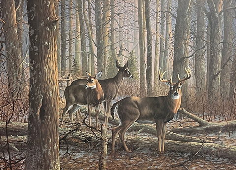 James Kennedy Autumn Solitude Deer Buck S/N Art Print Image 25 x 18