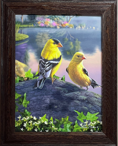 Kim Norlien Gold Finch Bird Songbird Art Print-Framed 11.5 x 14.5