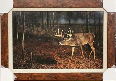 Kuether, Who's Been Here Deer art Print-Framed 31 x 22