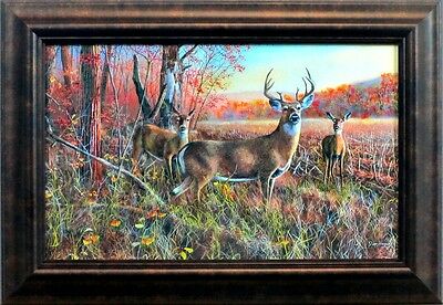Jim Hansel Bluff Country Buck-Framed  15 x 10