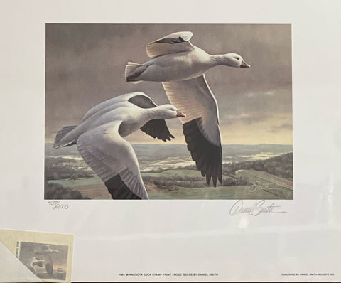 Daniel Smith 1991 Duck Stamp print with Stamp Signed/Numbered