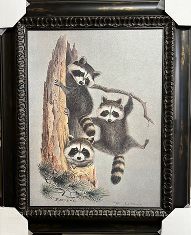 Jerry Raedeke Hanging out Racoon Signed Art Print 22.5 x 27.5