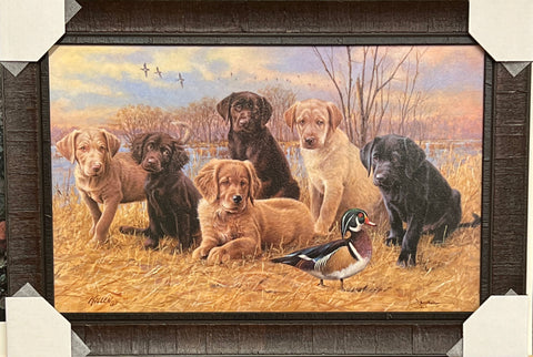 James Killen Marsh Madness Puppy Print-Framed 28.75 x 19.75