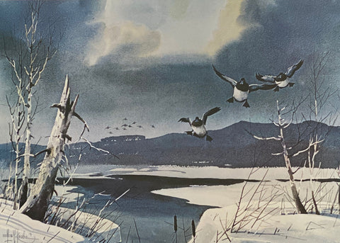 Les Kouba Before the Freeze A/P Duck Bulebill Art Print-24 x 18