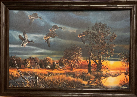Jim Hansel Morning Mallards Duck Art Print-Framed (Wood) 33 x 23
