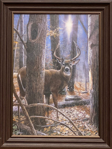 Kevin Daniel Woodland Serenity Deer Art Print Framed 15.5 x 21.5