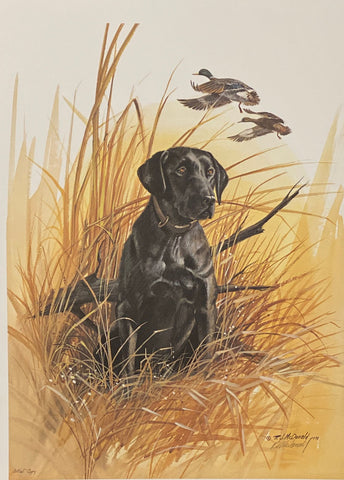 R.J.McDonald Chief of the Marsh S/N Hunting Dog Lab Art Print 15 x 20