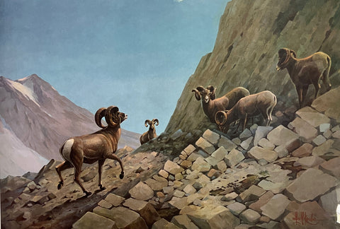 Les Kouba Suspicious Bighorns S/N art Print 24.5 x 17