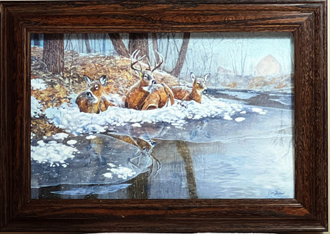 Hansel, Creekside Deer Framed Decorator Art Print